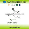 Reliable amino acid supplier L-Cysteine 52-90-4